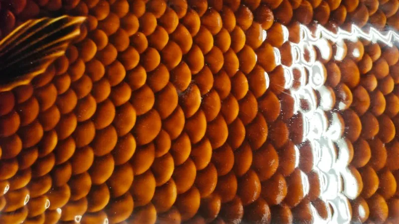 Discount Pamono French Service in the Shape of a Fish in Majolica from Sarreguemines, 1970s, Set of 15