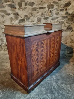 New Pamono French Shop Counter, 1920s