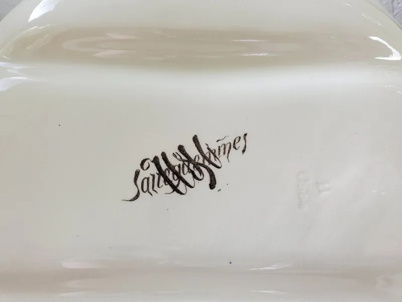 Pamono French Victorian Ironstone Asparagus Plate from Sarreguemines, Set of 10> Dinner Plates & Bowls