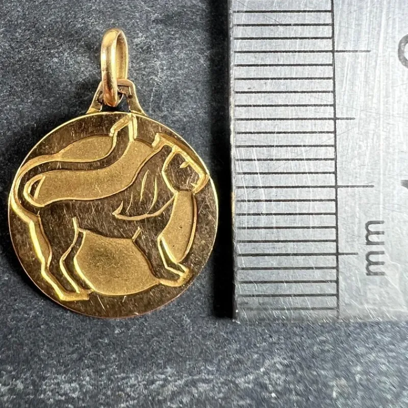 Pamono French Zodiac Leo Starsign 18k Yellow Gold Charm Medal Pendant, 1970s> Necklaces