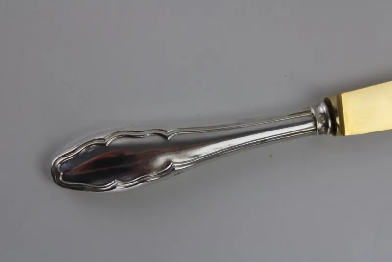 Best Pamono Fruit Cutlery with 800 Silver Handle & Gilded Stainless Steel Blade, 1900s, Set of 12