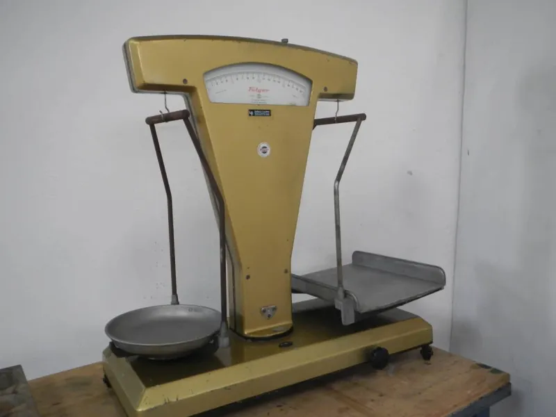 Discount Pamono Fulgor Scale in Gold