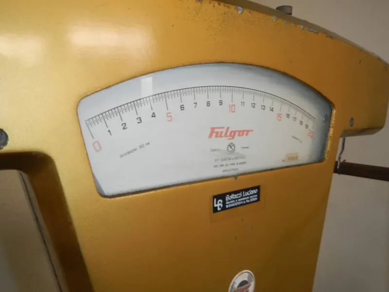 Discount Pamono Fulgor Scale in Gold
