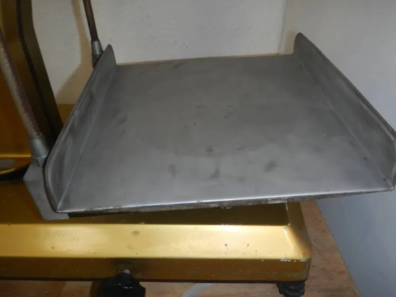Discount Pamono Fulgor Scale in Gold