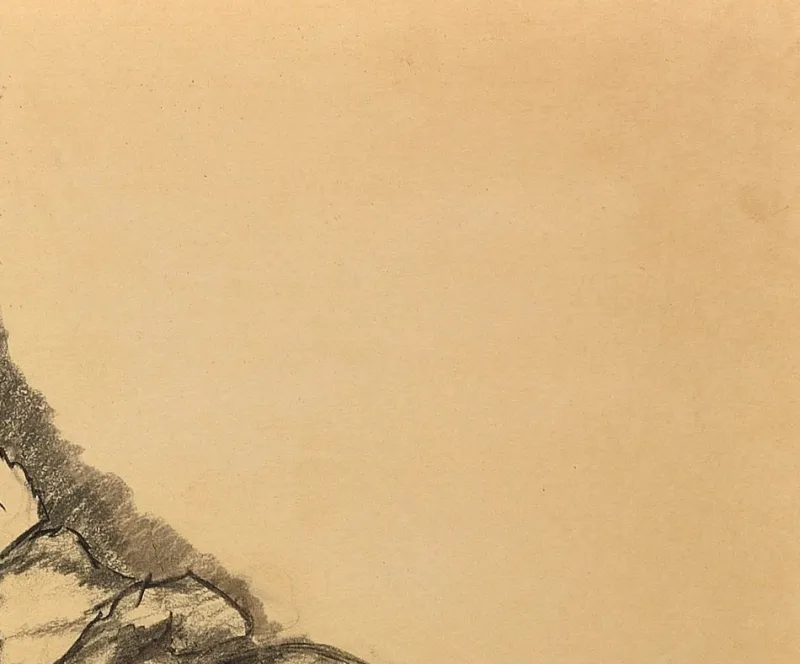 Pamono G. Vaccaro, La Contadina, 1865, Charcoal & Pencil on Paper> Work On Paper