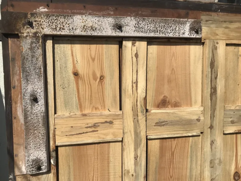 Pamono Garage Doors, 1950s, Set of 2> Architectural Elements
