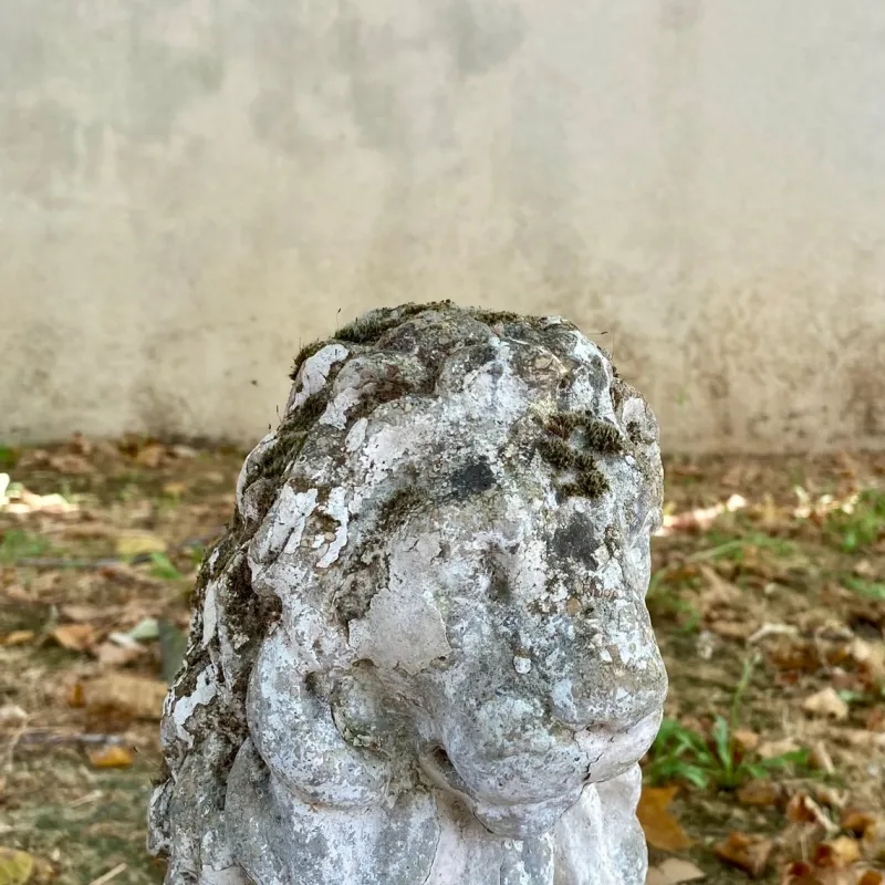 Pamono Garden Stone Lions, Set of 2> Garden Seating