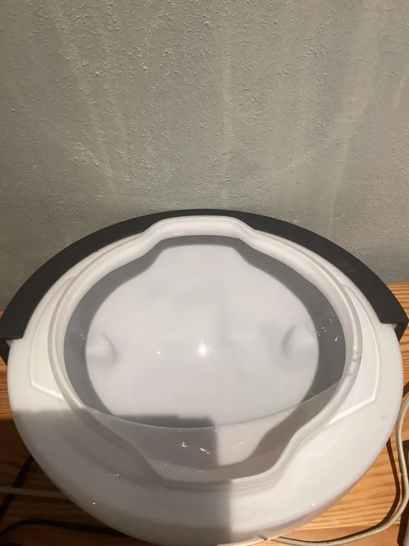 Clearance Pamono Garden Wall Light Lamp by Bega, 1980s