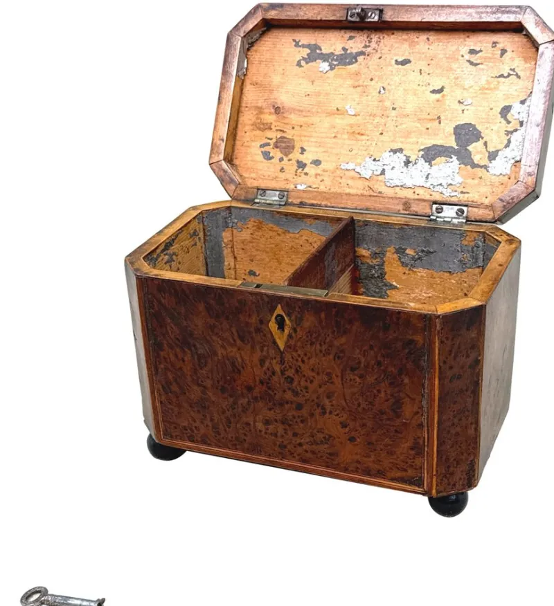 Discount Pamono Georgian Octagonal Yew Wood Tea Caddy, 1800s