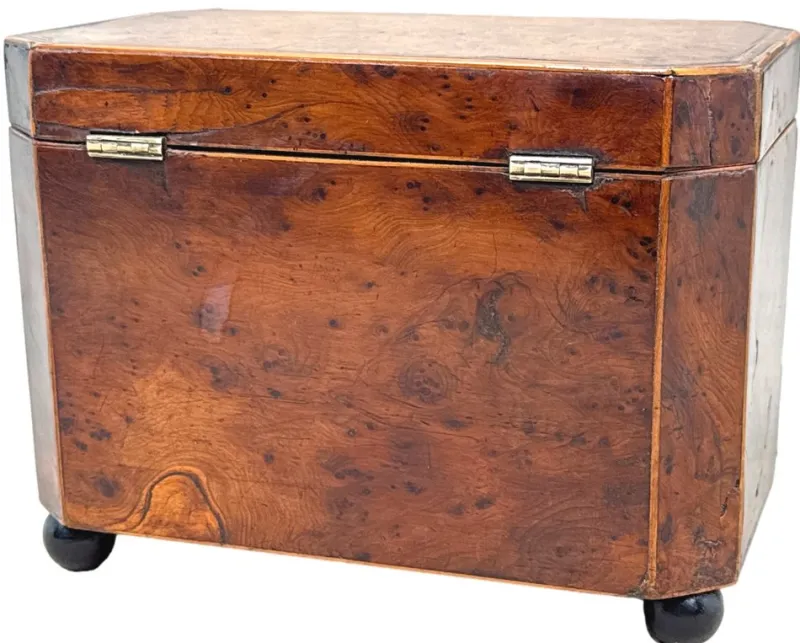 Discount Pamono Georgian Octagonal Yew Wood Tea Caddy, 1800s
