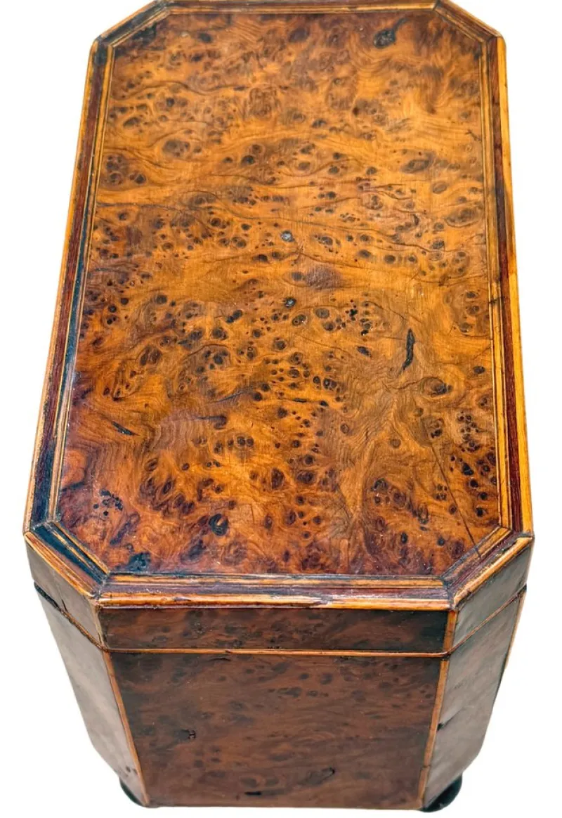 Discount Pamono Georgian Octagonal Yew Wood Tea Caddy, 1800s