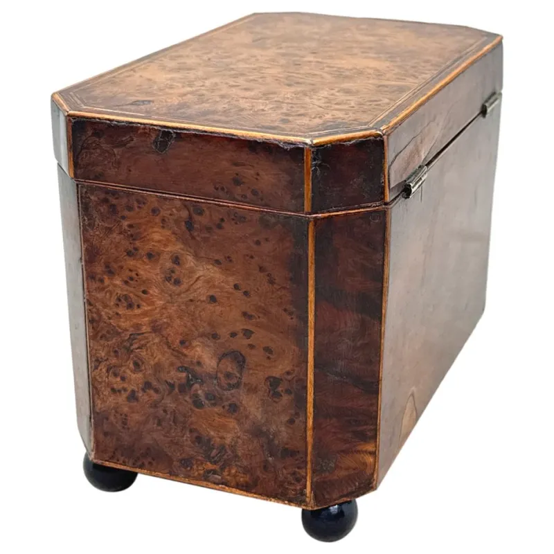 Discount Pamono Georgian Octagonal Yew Wood Tea Caddy, 1800s