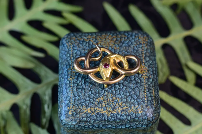 Pamono Gold-Plated Snake Brooch by Maison Savard Fix, 1910s> Brooches
