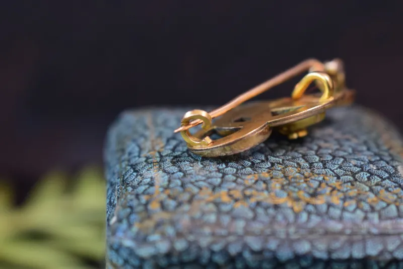 Pamono Gold-Plated Snake Brooch by Maison Savard Fix, 1910s> Brooches