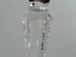 Discount Pamono Grape Wine Glass by Römer for Nachtmann, 1970s
