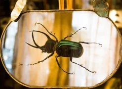 Pamono Green Beetle Silver Mirror from Unique Mirrors> Decorative Objects