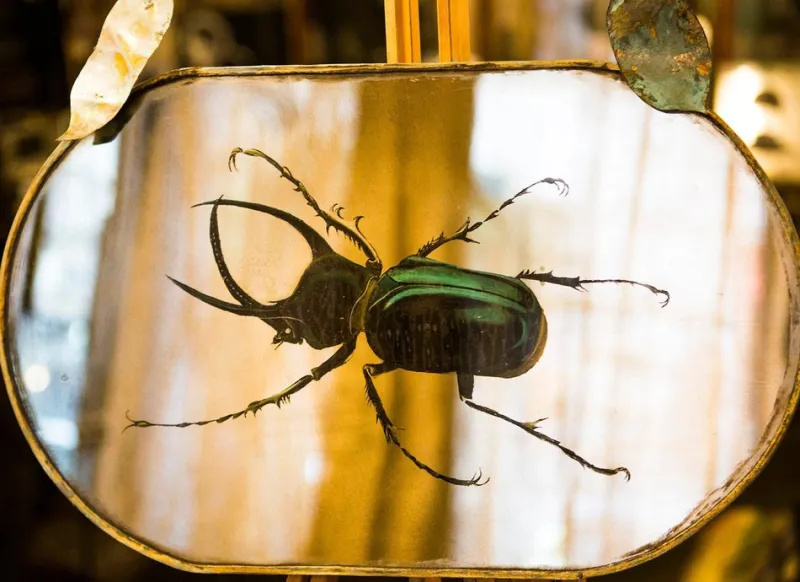 Pamono Green Beetle Silver Mirror from Unique Mirrors> Decorative Objects