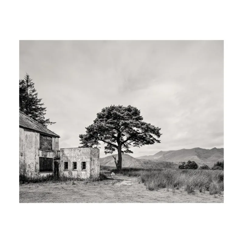 Pamono Guy Sargent, Killarney, Archival Pigment Print> Photography