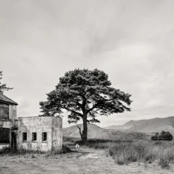 Pamono Guy Sargent, Killarney, Archival Pigment Print><noscript><img width=