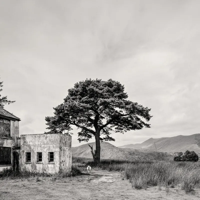 Pamono Guy Sargent, Killarney, Archival Pigment Print> Photography