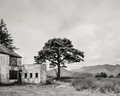 Discount Pamono Guy Sargent, Killarney, Archival Pigment Print