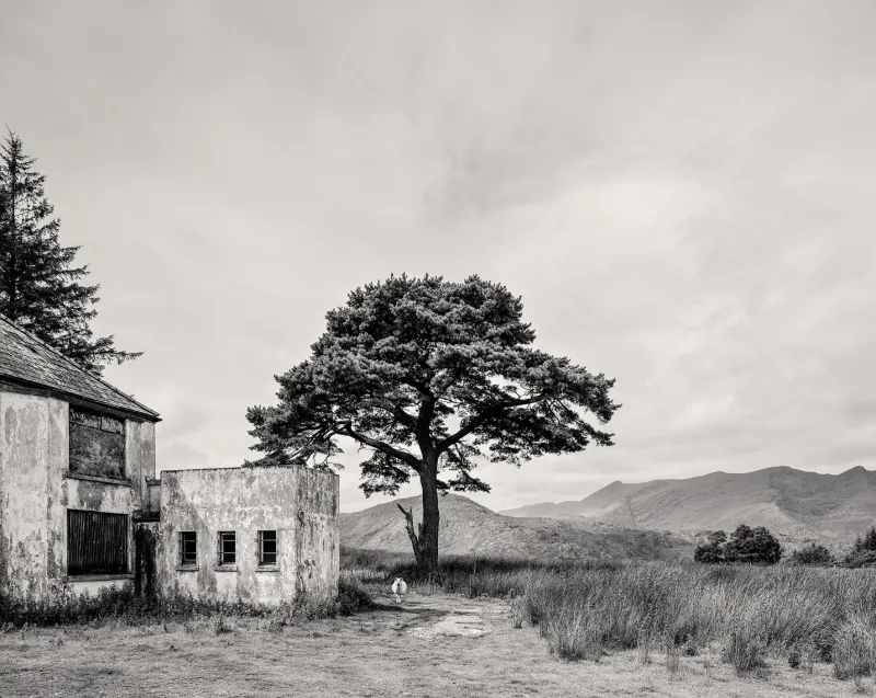 Pamono Guy Sargent, Killarney, Archival Pigment Print
