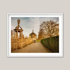 Pamono Guy Sargent, Le Jardin V, Archival Pigment Print> Photography