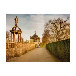 Pamono Guy Sargent, Le Jardin V, Archival Pigment Print