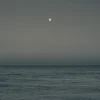 Hot Pamono Guy Sargent, Moonrise, Print