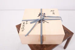 Best Pamono Hand-Painted Japanese Ceramic Bowl