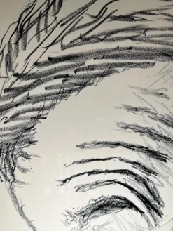 Pamono Hans Berger, Portrait, Graphite on Paper><noscript><img width=