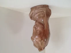 Pamono Head of Girl, 1960s, Ceramic><noscript><img width=
