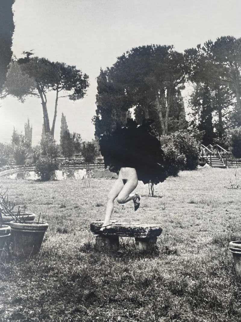 Pamono Helmut Newton, In a Garden Near Rome, 1977, Photolithograph> Photography