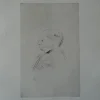 Pamono Henri De Toulouse Lautrec, Portrait of Monsieur X, Original Signed Engraving> Art Nouveau