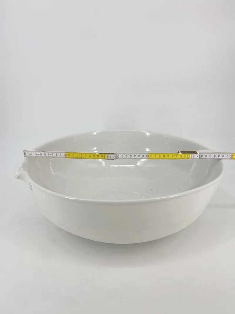 Pamono Huge Porcelain Laboratory Basin from Haldenwanger Berlin, Germany, 1950s> Bowls