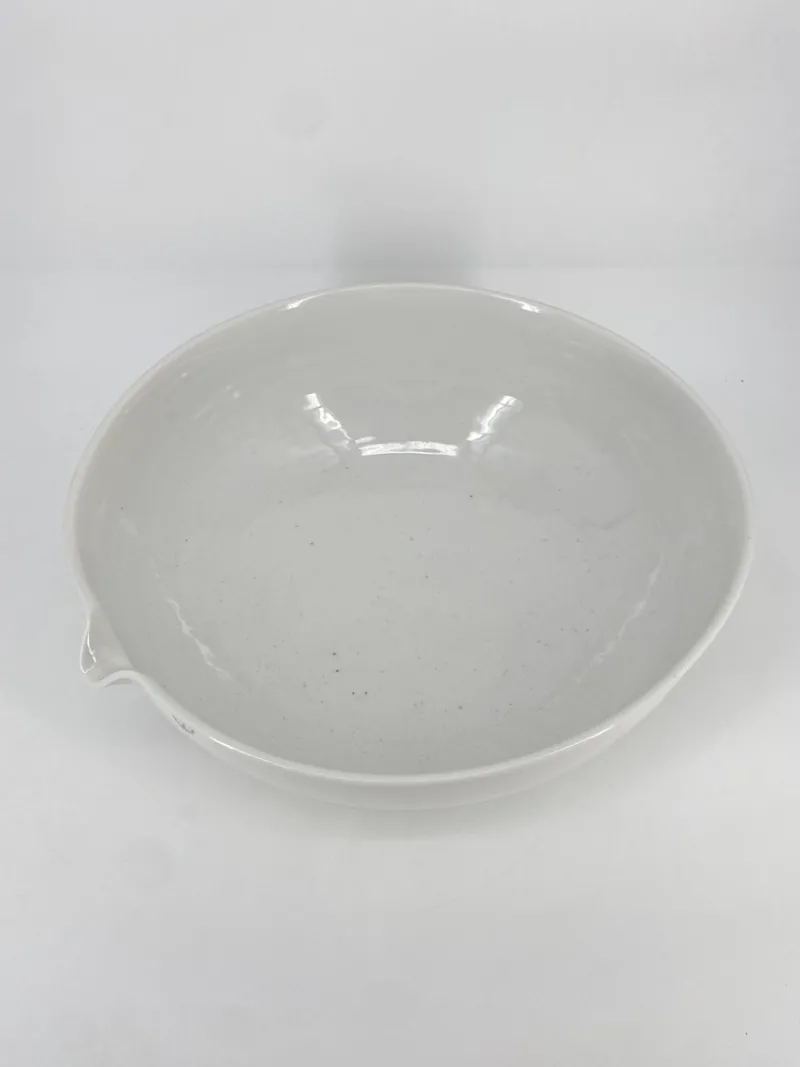 Pamono Huge Porcelain Laboratory Basin from Haldenwanger Berlin, Germany, 1950s> Bowls