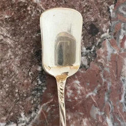Pamono Ice Cream Spoons in Sterling Silver and Vermeil from Odiot, France, 19th Century, Set of 18><noscript><img width=
