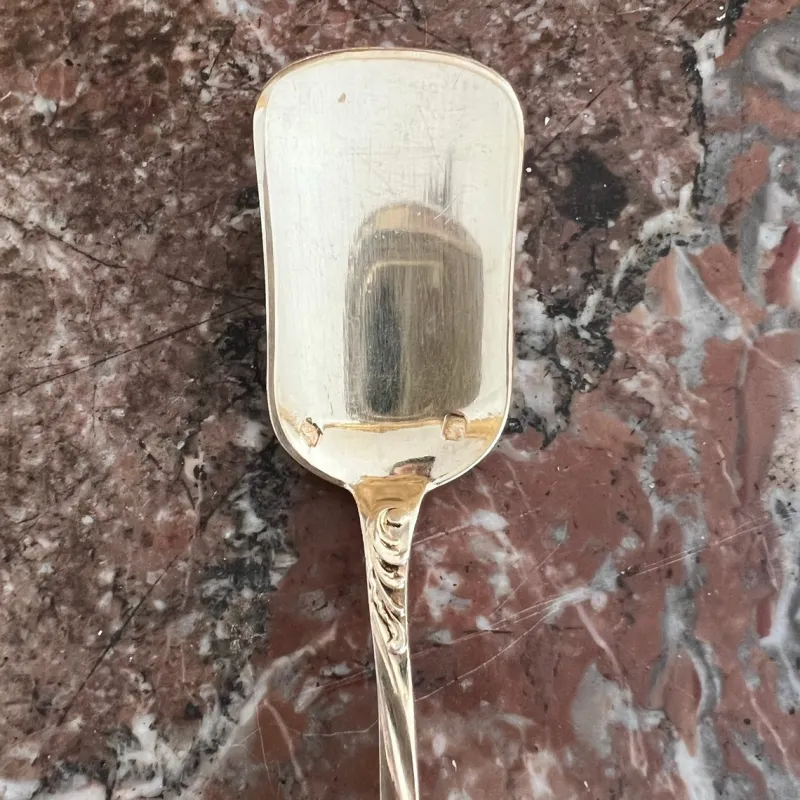 Pamono Ice Cream Spoons in Sterling Silver and Vermeil from Odiot, France, 19th Century, Set of 18> Cutlery & Serving Utensils