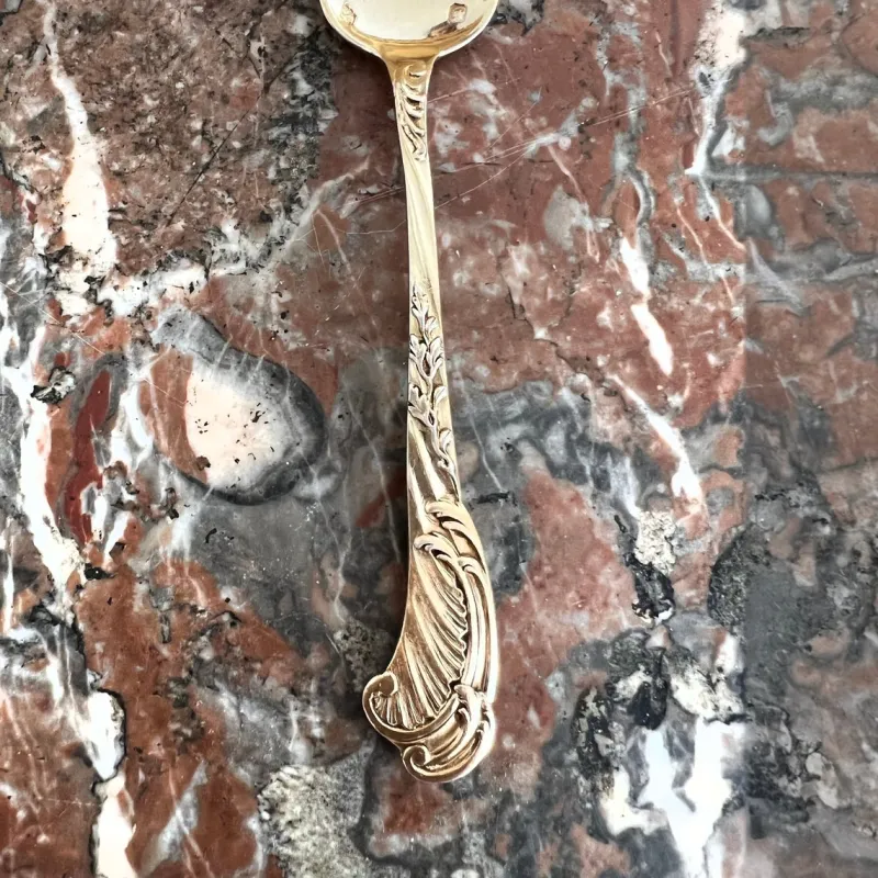 Pamono Ice Cream Spoons in Sterling Silver and Vermeil from Odiot, France, 19th Century, Set of 18> Cutlery & Serving Utensils