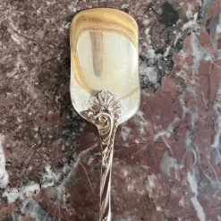 Pamono Ice Cream Spoons in Sterling Silver and Vermeil from Odiot, France, 19th Century, Set of 18><noscript><img width=