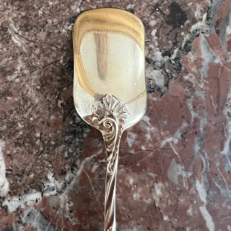Pamono Ice Cream Spoons in Sterling Silver and Vermeil from Odiot, France, 19th Century, Set of 18> Cutlery & Serving Utensils