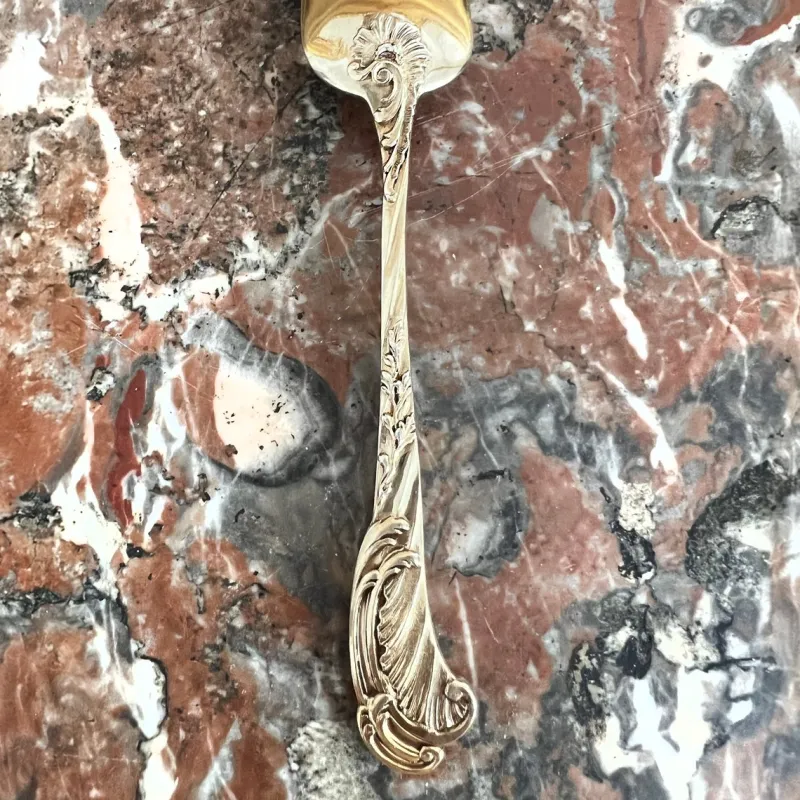 Pamono Ice Cream Spoons in Sterling Silver and Vermeil from Odiot, France, 19th Century, Set of 18> Cutlery & Serving Utensils