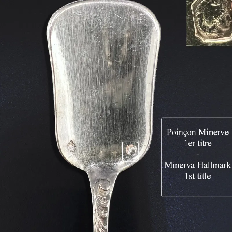 Pamono Ice Cream Spoons in Sterling Silver and Vermeil from Odiot, France, 19th Century, Set of 18> Cutlery & Serving Utensils