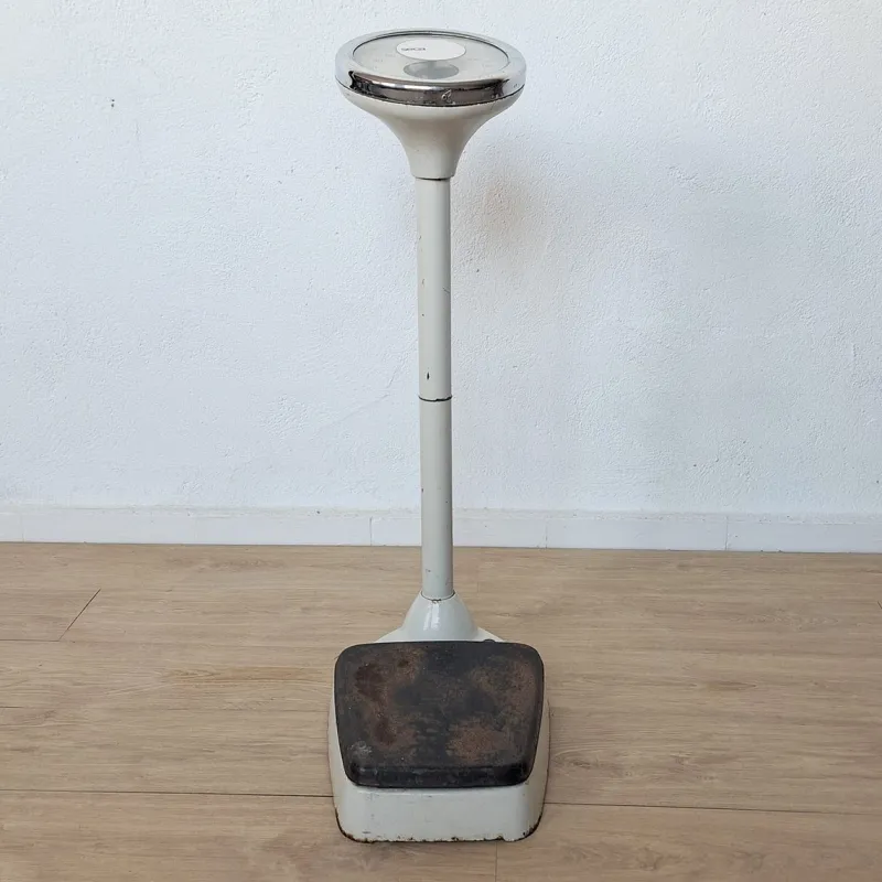 Best Pamono Industrial Personal Scale from Seca, 1950s