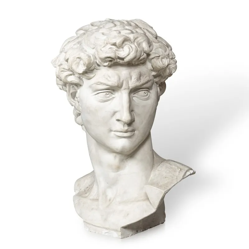 Pamono Italian Artist after Michelangelo, Head of David, 1990s, Plaster> Classical|Sculpture