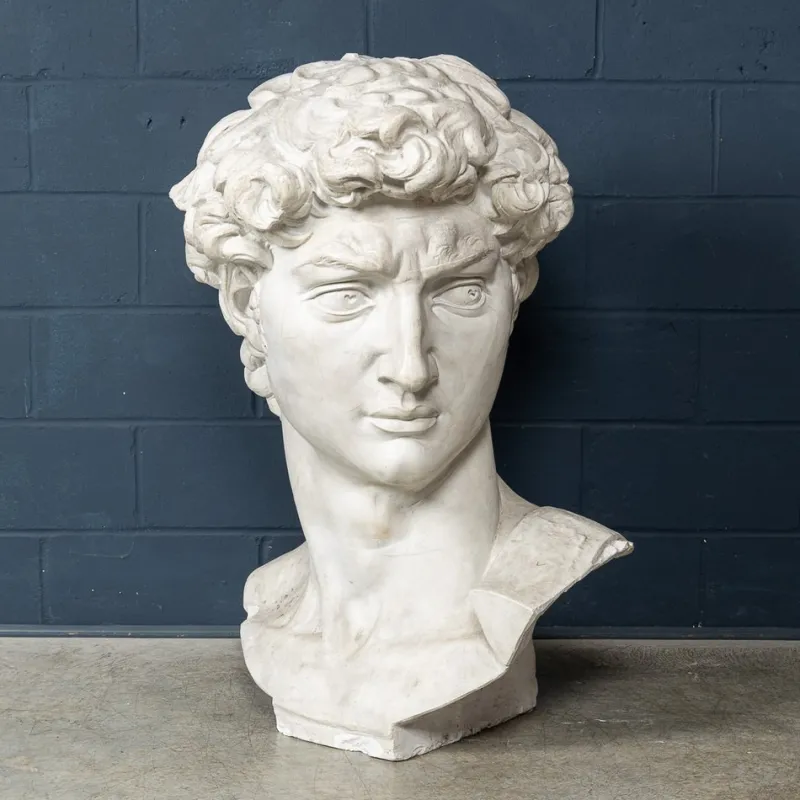 Pamono Italian Artist after Michelangelo, Head of David, 1990s, Plaster> Classical|Sculpture
