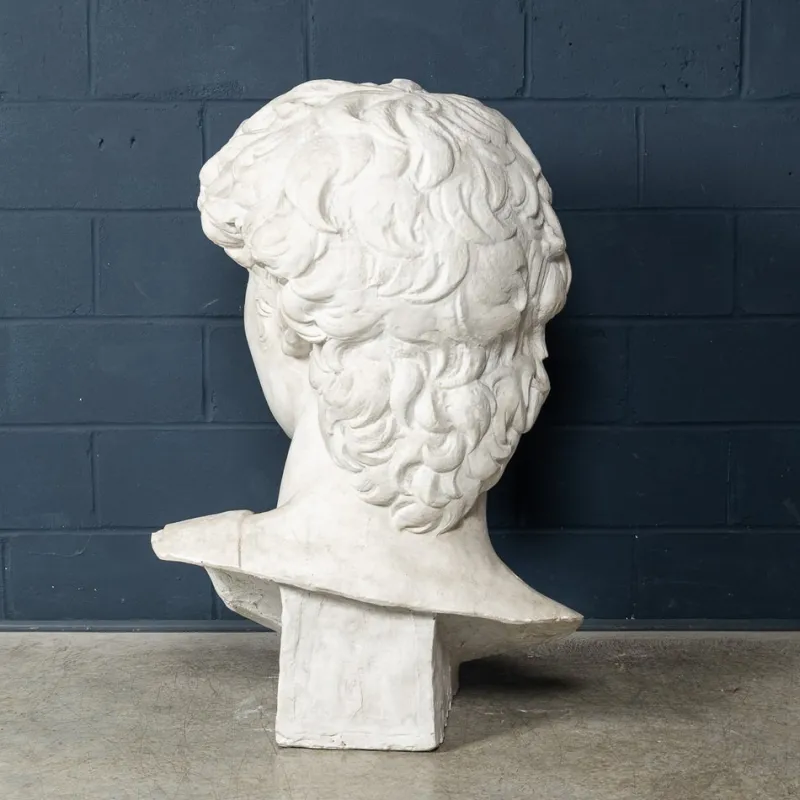 Pamono Italian Artist after Michelangelo, Head of David, 1990s, Plaster> Classical|Sculpture