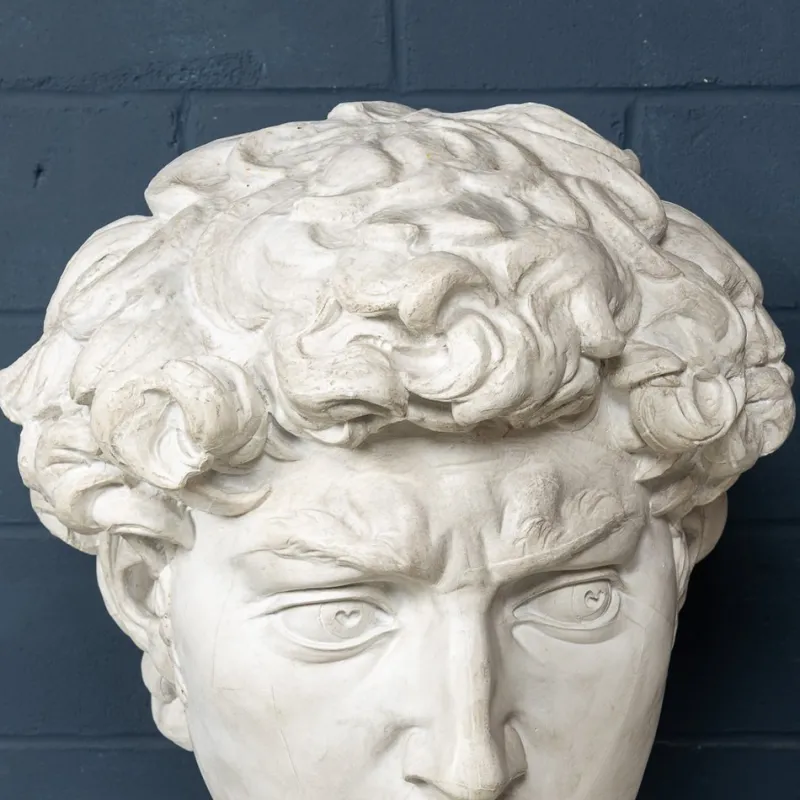 Pamono Italian Artist after Michelangelo, Head of David, 1990s, Plaster> Classical|Sculpture