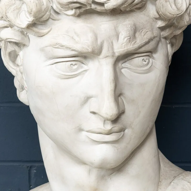 Pamono Italian Artist after Michelangelo, Head of David, 1990s, Plaster> Classical|Sculpture
