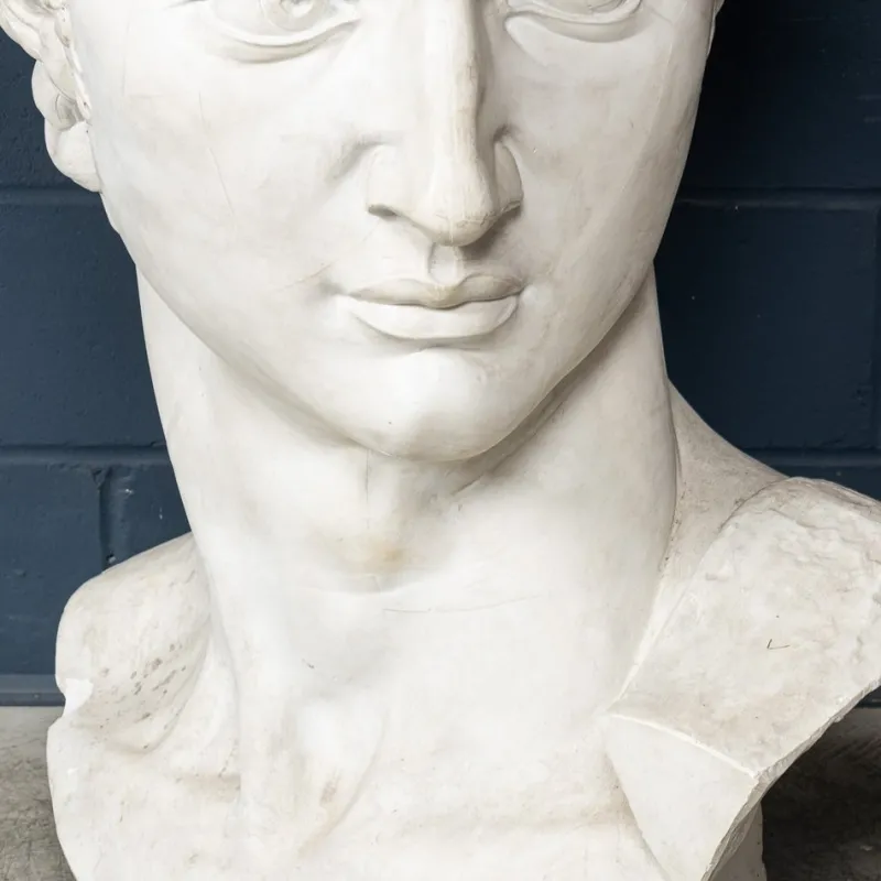 Pamono Italian Artist after Michelangelo, Head of David, 1990s, Plaster> Classical|Sculpture
